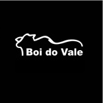Boi do Vale